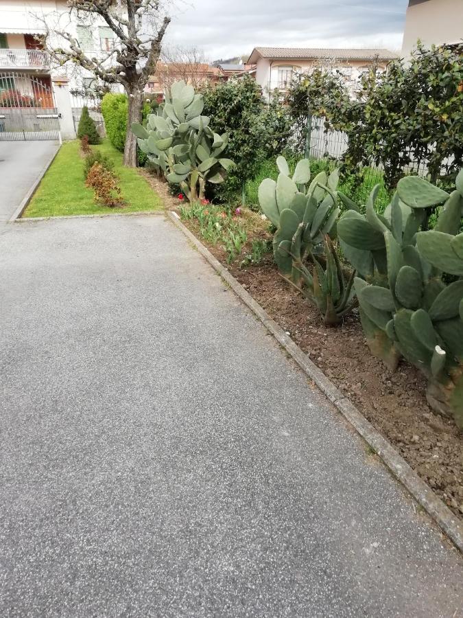 Casa Vacanze Orsi Lucca Eksteriør billede